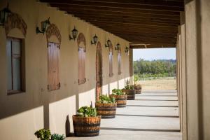 Un pasillo con plantas en macetas en el costado de un edificio. en 50 Shades of Hay Guesthouse, en Atlantis