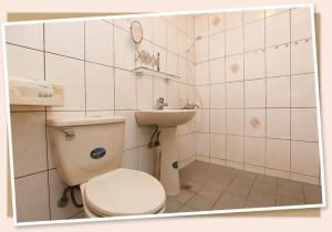 un bagno con un water e un lavandino di Signal B&B 信號咖ㄟ厝 民宿 a Ruisui