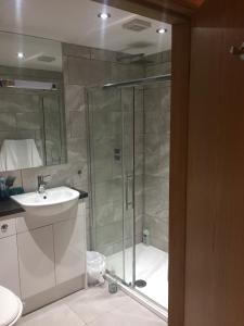 a bathroom with a shower and a sink at The Radnor Arms in Malmesbury