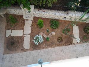 A garden outside father's house in kissamos Még 31 kép