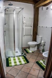 リングアグロッサにあるEtna Paradise Locazione Turisticaのバスルーム(シャワー、トイレ付)