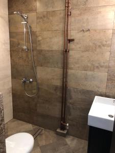 ein Badezimmer mit Dusche, Toilette und Waschbecken in der Unterkunft Golden Dome view Apartment in Sofia + 25 Fotos