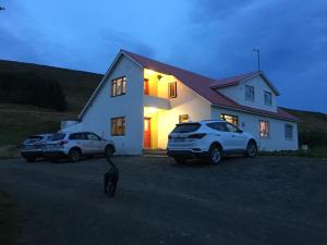 two cars parked in front of a house with a cat at Öndólfsstaðir Farm B&B in Laugar