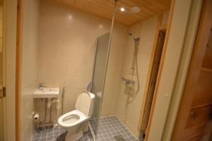 a bathroom with a toilet and a shower at Apartment A3 Talja in Rovaniemi +23 photos