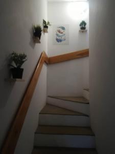 ワルシャワにあるBart Houseの鉢植えの階段