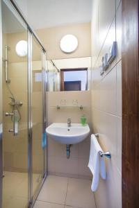 a bathroom with a sink and a shower at Pension City in Pilsen