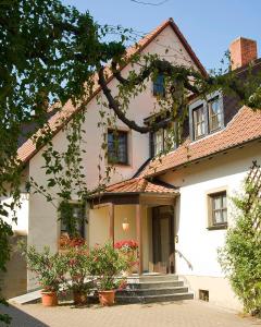 a white house with potted plants in front of it at Gasthof zur Schwane in Abtswind