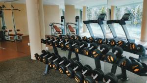 Das Fitnesscenter und/oder die Fitnesseinrichtungen in der Unterkunft Wapa di Ume Sidemen