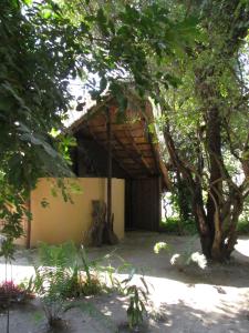 Caprivi Houseboat Safari Lodge في كاتيما موليلو: مبنى بسقف خشبي بجانب شجرة
