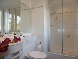 a bathroom with a toilet and a shower and a sink at Hotel & Restaurant Karpfen in Illmensee +27 photos