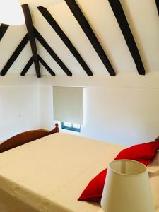a bedroom with a large bed with red pillows at casadaeiradeangeja in Angeja +14 photos