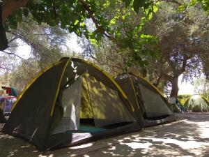 two tents are parked under a group of trees at Camping Koula in Parikia