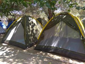 two tents are set up under some trees at Camping Koula in Parikia