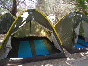 two tents in a field with trees in the background at Camping Koula in Parikia