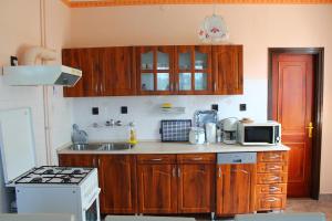 Kuchyň nebo kuchyňský kout v ubytování Ibolya Apartmanok