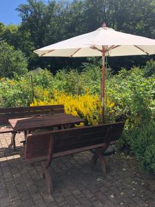 a picnic table with an umbrella in a garden at Ferienwohnung Schulten Hof in Schmallenberg