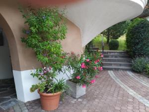 Zahrada ubytování Landhaus Laner