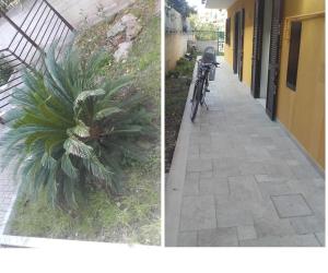 a bike parked next to a sidewalk with a plant at House La Palma in Ruvo di Puglia