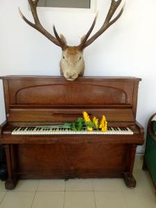 a deer head sitting on top of a piano at При Старото пиано in Belogradchik