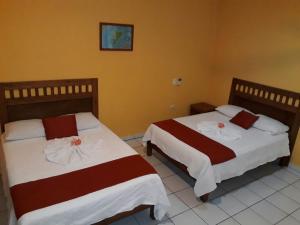 deux lits côte à côte dans une pièce dans l'établissement Casa Coral Cozumel, à Cozumel 32 autres photos