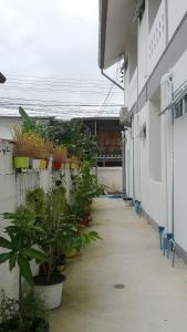 a hallway with potted plants on the side of a building at Patchy & PPraw Family in Ubon Ratchathani +57 photos