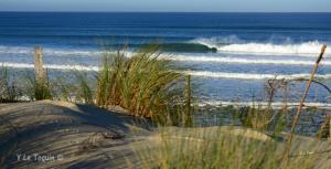 - une plage avec des vagues dans l'océan et de l'herbe dans l'établissement Les Balcons de L'Ocean, à Biscarrosse