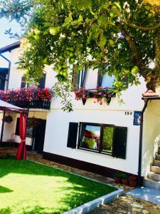 a white house with a tree in the yard at House Leonarda in Grabovac