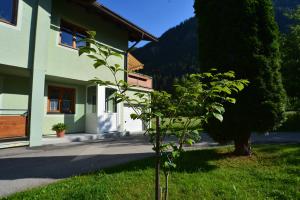 małe drzewko w trawie obok budynku w obiekcie Appartement Dallavia w mieście Unterleibnig