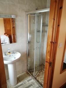 un bagno con doccia e lavandino di Danubio Guest Accommodation a Doonbeg