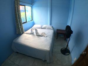 Gallery image of Green Macaw Hostel in Tortuguero