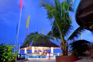 a palm tree in front of a building on the beach at Blue Corals Beach Resort in Malapascua Island