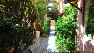 einen Garten mit einem steinernen Gehweg mit Pflanzen in der Unterkunft Pousada Montreux in Praia do Forte