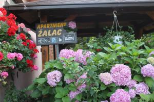 Afbeelding uit fotogalerij van Apartment Žalac in Slunj