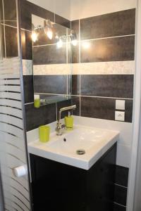 ein Bad mit einem Waschbecken und einem Spiegel in der Unterkunft Birchbank Cottage in Coulommiers