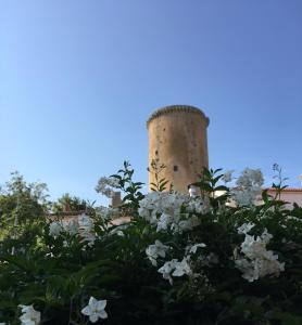 Foto dalla galleria di I Due Principi a San Marco Argentano