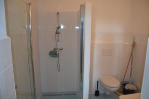ein Bad mit einer Dusche und einem WC in der Unterkunft Dom s výhľadom in Banská Štiavnica
