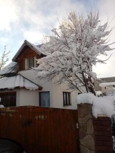 un árbol cubierto de nieve frente a una casa en El Tranco - Casa "Tu Lugar" en Junín de los Andes