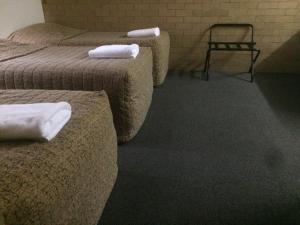 Postel nebo postele na pokoji v ubytování Alexander Motor Inn