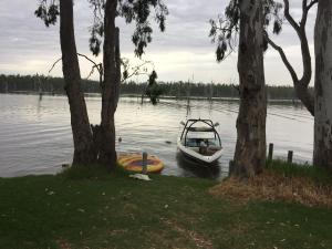 a boat in the water next to two trees at Bundalong Waterfront in Bundalong
