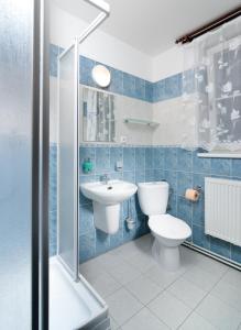 La salle de bains est pourvue de carrelage bleu, de toilettes et d'un lavabo. dans l'établissement Pension Katty, à Špindlerův Mlýn