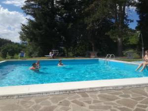 Bazén v ubytování Hotel Due Pini nebo v jeho okolí