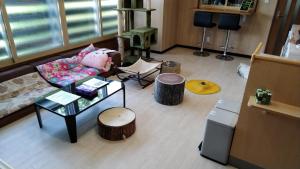 Gallery image of Cat Cafe & Stay Cultus's Home in Otaru