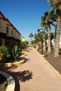 a brick sidewalk with palm trees and a building at AGPI Fuerteventura Apartments in Costa Calma