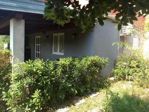 Vonkajšia záhrada v ubytovaní Apartman Tariba