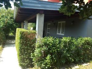 Vonkajšia záhrada v ubytovaní Apartman Tariba