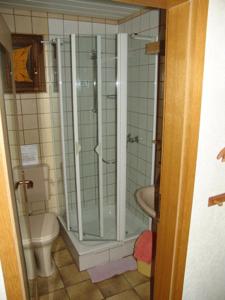 y baño con ducha y aseo. en Römerklause, en Neustadt an der Weinstraße