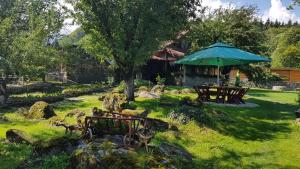 Vistisoara的住宿－Casa Bunicului，一个带野餐桌和遮阳伞的花园