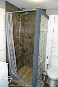 uma cabina de duche na casa de banho com WC em Palheirinho da Achada em Arco da Calheta