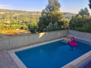 una piscina con un cisne rosa en ella en Catloc & Kitcat Alojamento Local en Costa de Além