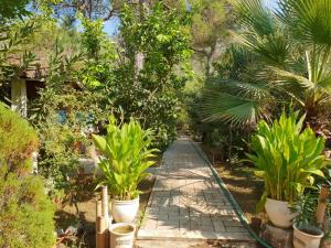 Kebun di luar Adrasan Şekerbahçe Otel